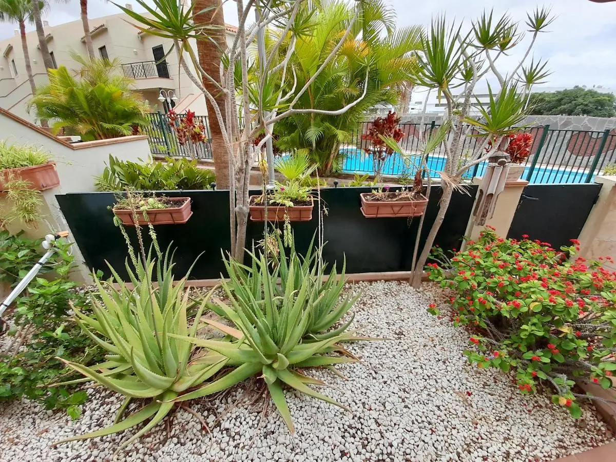 Bellamar Deluxe Costa Adeje (Tenerife)